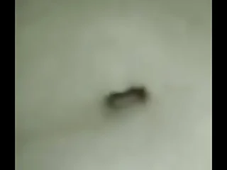 ঘুমের মধ্যে বয়স্ক মাগির গুদের ভিডিও